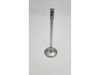 : φωτογραφία κεφαλίδας