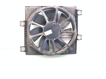 : φωτογραφία κεφαλίδας