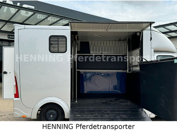 Μίσθωση Renault Master 3 - Sitzer  Renault Master 3 - Sitzer: φωτογραφία 5