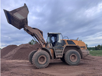 Φορτωτής εκσκαφέας LIEBHERR L566: φωτογραφία 2