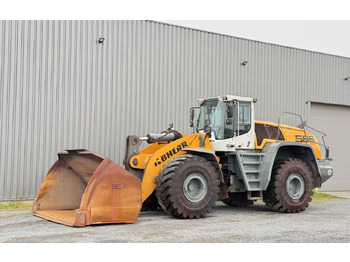 Ελαστιχοφόρος φορτωτής Liebherr L 586 X POWER/ 2022: φωτογραφία 5 Ελαστιχοφόρος φορτωτής Liebherr L 586 X POWER/ 2022: φωτογραφία 5
