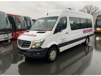 Μίσθωση Mercedes-Benz 516 CDI Sprinter Mercedes-Benz 516 CDI Sprinter: φωτογραφία 2