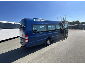 Μικρό λεωφορείο, Επιβατικό βαν Mercedes-Benz 519 CDI Sprinter: φωτογραφία 3