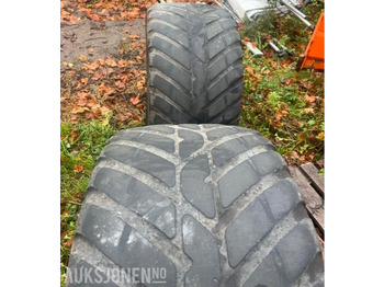 : φωτογραφία κεφαλίδας