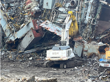 Ερπυστριοφόρος εκσκαφέας Liebherr R984C: φωτογραφία 5 Ερπυστριοφόρος εκσκαφέας Liebherr R984C: φωτογραφία 5