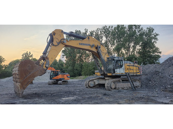 Ερπυστριοφόρος εκσκαφέας LIEBHERR