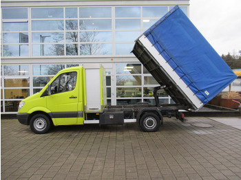 Όχημα με ανατρεπομενη καροτσα Mercedes-Benz Sprinter 313 2.2 CDI 366 Kipper - Tipper Plane huif: φωτογραφία 4
