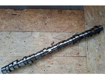 : φωτογραφία κεφαλίδας