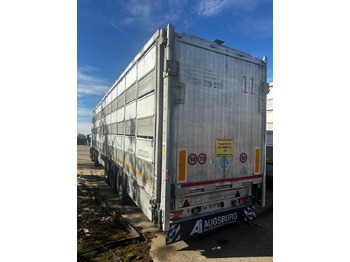 Επικαθήμενο μεταφορά ζώων PEZZAIOLLI Animal Transport Semi-trailer: φωτογραφία 3
