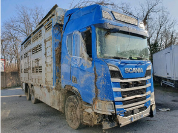 Φορτηγό μεταφορά ζώων SCANIA R 580