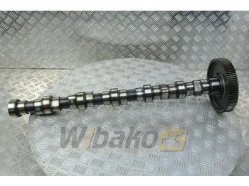 : φωτογραφία κεφαλίδας