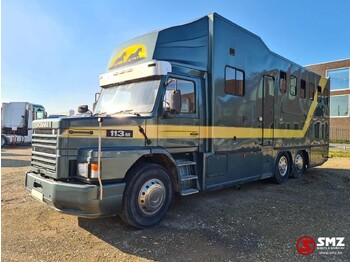 Φορτηγό μεταφοράς αλόγων SCANIA 113