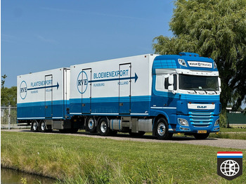 Φορτηγό ψυγείο DAF XF 460