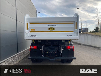 Μίσθωση DAF XFc 480 FAT 6x4 Intarder Bordmatik Trigenius  DAF XFc 480 FAT 6x4 Intarder Bordmatik Trigenius: φωτογραφία 5