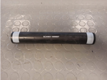 : φωτογραφία κεφαλίδας