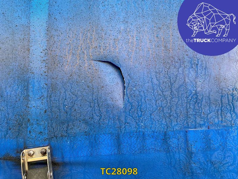 Επικαθήμενο κουρτίνα Schmitz Cargobull: φωτογραφία 12