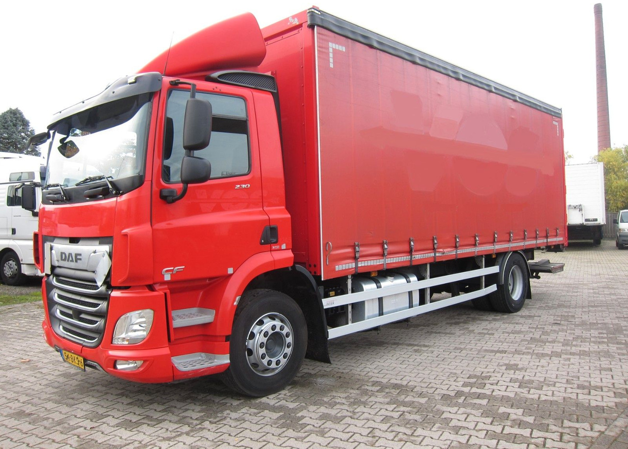 DAF CF 230 19T Schiebeplane LDW Portalturen - Φορτηγό μουσαμάς: φωτογραφία 2 DAF CF 230 19T Schiebeplane LDW Portalturen - Φορτηγό μουσαμάς: φωτογραφία 2