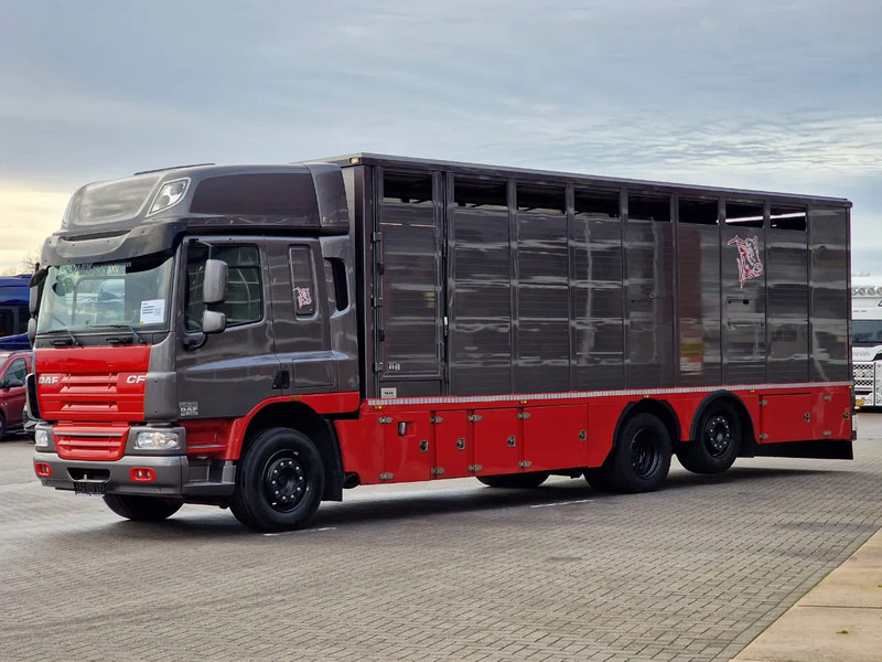 DAF CF 360 SpaceCab 6x2*4 - Menke Janzen Livestock 1 deck 20.78M2 - Steering axle - Euro 5 - Φορτηγό μεταφορά ζώων: φωτογραφία 4 DAF CF 360 SpaceCab 6x2*4 - Menke Janzen Livestock 1 deck 20.78M2 - Steering axle - Euro 5 - Φορτηγό μεταφορά ζώων: φωτογραφία 4