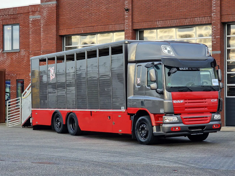 DAF CF 360 SpaceCab 6x2*4 - Menke Janzen Livestock 1 deck 20.78M2 - Steering axle - Euro 5 - Φορτηγό μεταφορά ζώων: φωτογραφία 1 DAF CF 360 SpaceCab 6x2*4 - Menke Janzen Livestock 1 deck 20.78M2 - Steering axle - Euro 5 - Φορτηγό μεταφορά ζώων: φωτογραφία 1