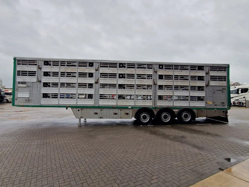 Pezzaioli 4 deck - Water & Ventilation - Lifting floors - Lifting roof - Επικαθήμενο μεταφορά ζώων: φωτογραφία 5 Pezzaioli 4 deck - Water & Ventilation - Lifting floors - Lifting roof - Επικαθήμενο μεταφορά ζώων: φωτογραφία 5