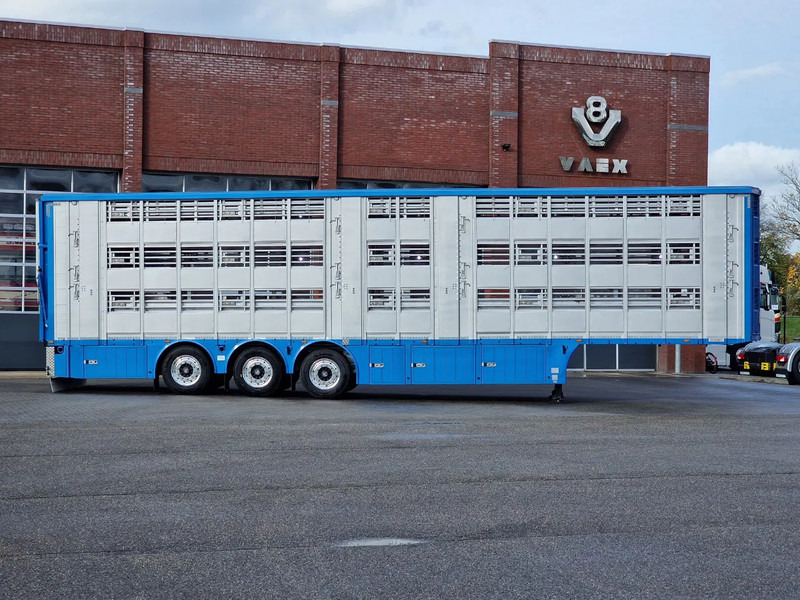 Μίσθωση Pezzaioli New 3 stock livestock trailer 95.4M2 - Water & Ventilation - Lifting floors - Lifting roof - Lift axle Pezzaioli New 3 stock livestock trailer 95.4M2 - Water & Ventilation - Lifting floors - Lifting roof - Lift axle: φωτογραφία 9 Μίσθωση Pezzaioli New 3 stock livestock trailer 95.4M2 - Water & Ventilation - Lifting floors - Lifting roof - Lift axle Pezzaioli New 3 stock livestock trailer 95.4M2 - Water & Ventilation - Lifting floors - Lifting roof - Lift axle: φωτογραφία 9