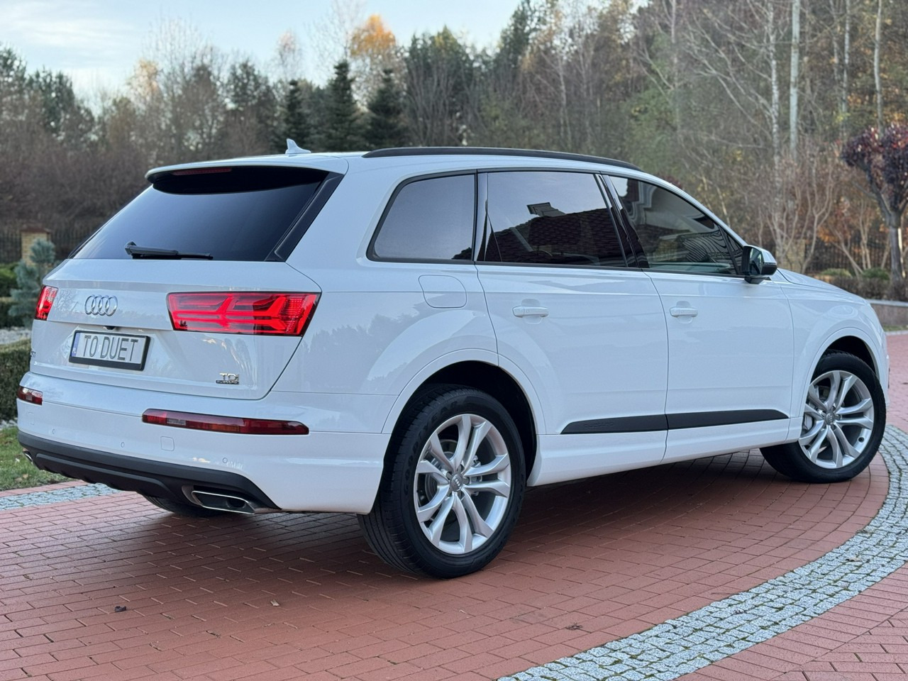 SUV Audi Q7: φωτογραφία 9