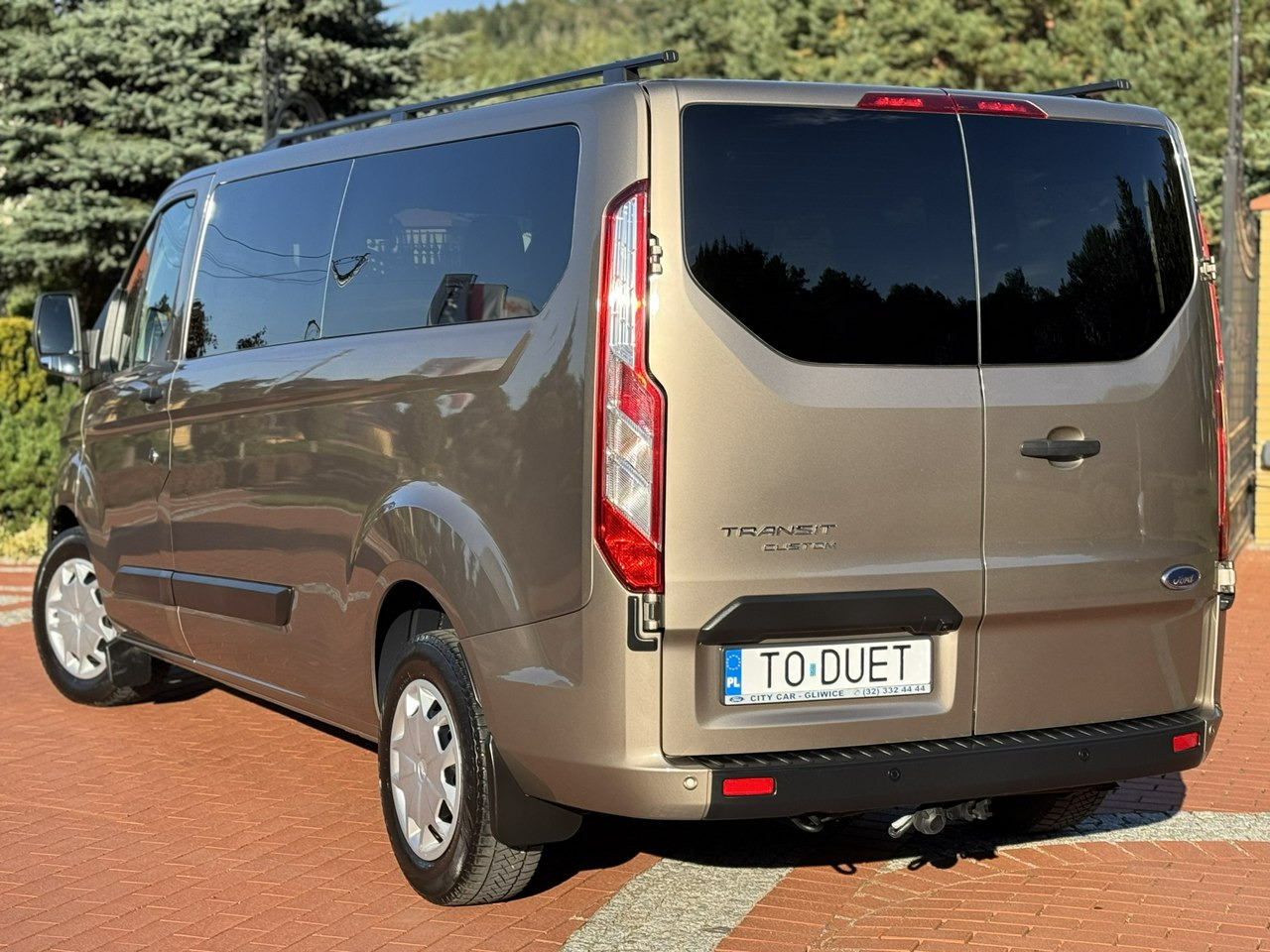 Επιβατικό βαν Ford Transit Custom: φωτογραφία 14
