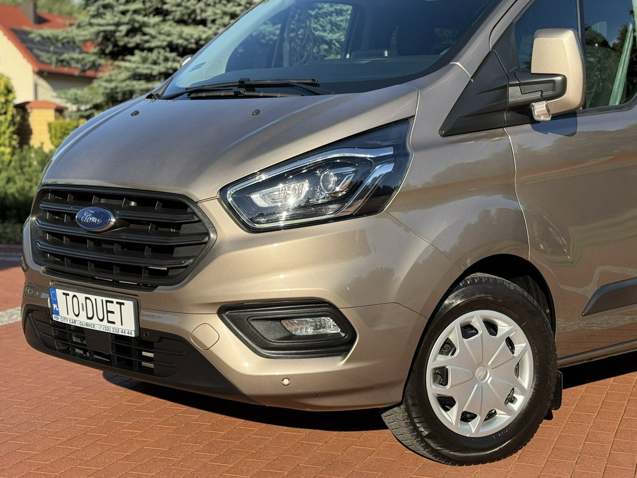 Επιβατικό βαν Ford Transit Custom: φωτογραφία 6