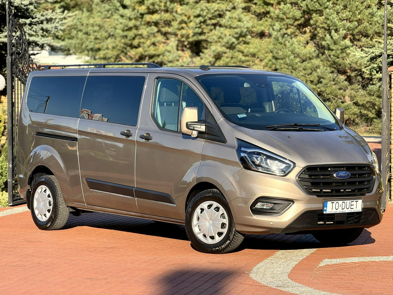 Επιβατικό βαν Ford Transit Custom: φωτογραφία 7