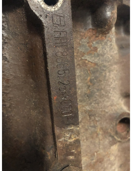 Fiat 8065.25 - Κινητήρας: φωτογραφία 3 Fiat 8065.25 - Κινητήρας: φωτογραφία 3