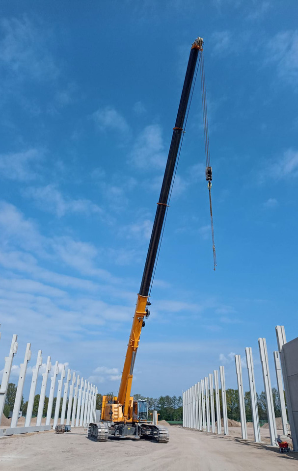 Sennebogen 6113 - Ερπυστριοφόρος γερανός: φωτογραφία 5 Sennebogen 6113 - Ερπυστριοφόρος γερανός: φωτογραφία 5