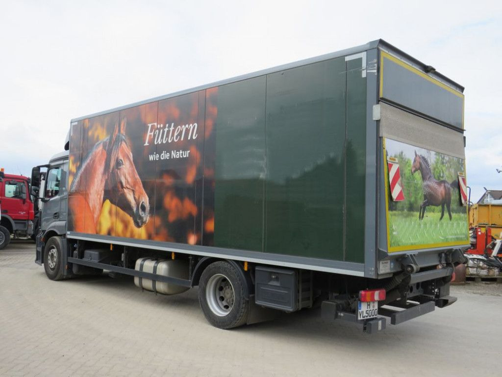 Mercedes-Benz Antos 1830 L nR 4x2 Standardkoffer LBW LBW 2to+F - Φορτηγό κόφα: φωτογραφία 3 Mercedes-Benz Antos 1830 L nR 4x2 Standardkoffer LBW LBW 2to+F - Φορτηγό κόφα: φωτογραφία 3