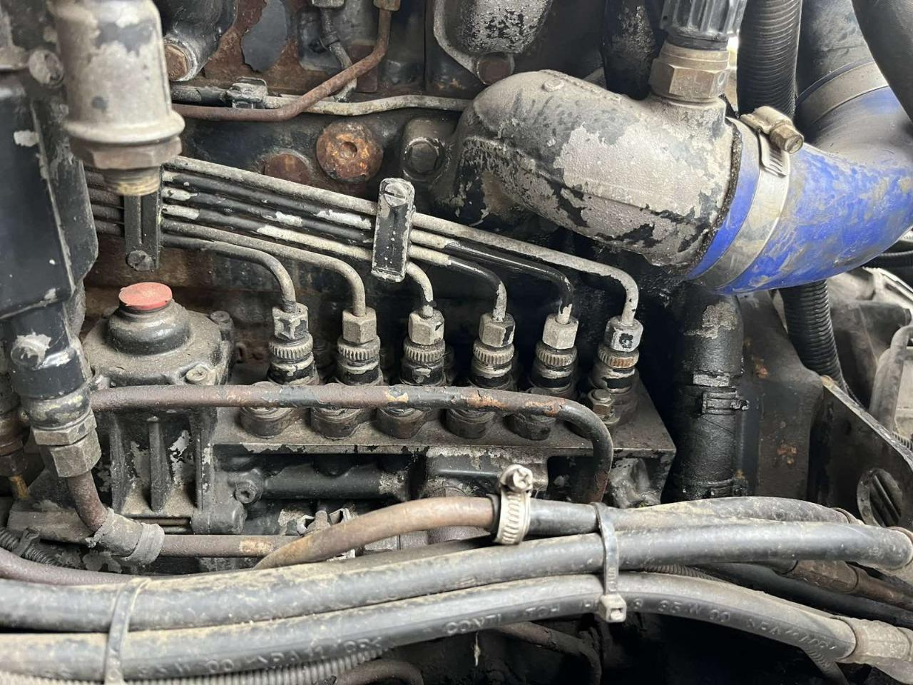 Τράκτορας MAN 19.460 TGA  ID1721S: φωτογραφία 14