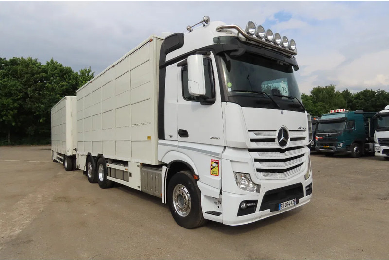 Mercedes-Benz Actros 2551 BERDEX 3 decks, All options + Berdex 12/ 2007 - Φορτηγό μεταφορά ζώων: φωτογραφία 1 Mercedes-Benz Actros 2551 BERDEX 3 decks, All options + Berdex 12/ 2007 - Φορτηγό μεταφορά ζώων: φωτογραφία 1