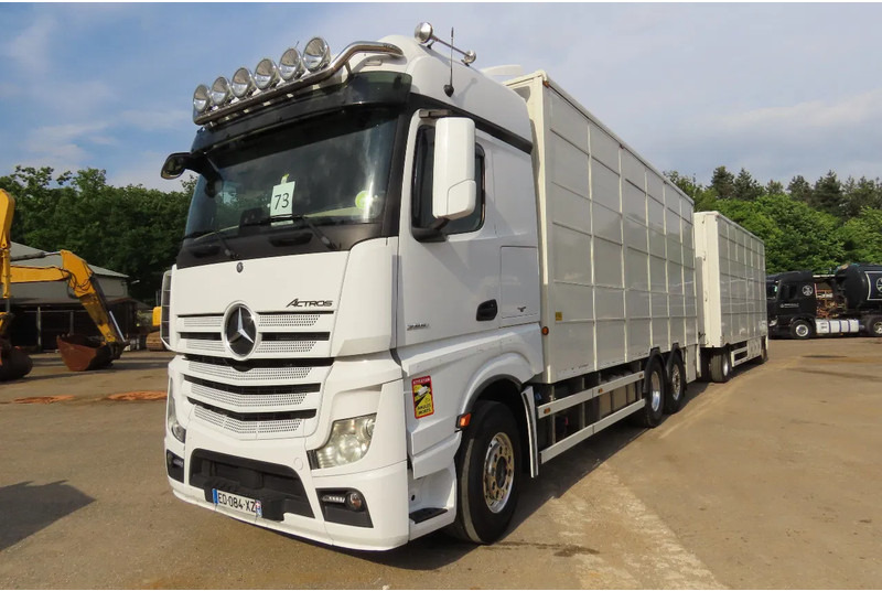Mercedes-Benz Actros 2551 BERDEX 3 decks, All options + Berdex 12/ 2007 - Φορτηγό μεταφορά ζώων: φωτογραφία 3 Mercedes-Benz Actros 2551 BERDEX 3 decks, All options + Berdex 12/ 2007 - Φορτηγό μεταφορά ζώων: φωτογραφία 3