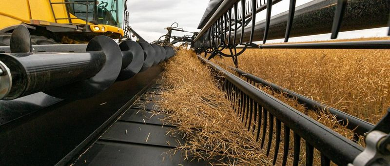 Μίσθωση  Honey Bee AirFLEX NXT AFN236 Honey Bee AirFLEX NXT AFN236: φωτογραφία 12