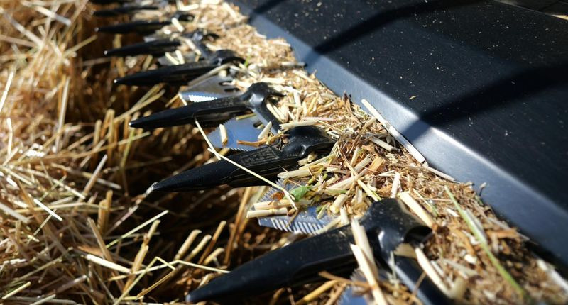 Μίσθωση  Honey Bee ST 15 - BANDSCHWADMÄHWERK Honey Bee ST 15 - BANDSCHWADMÄHWERK: φωτογραφία 6