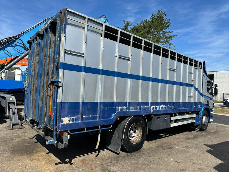 Scania P310 4x2 LIVESTOCK / VEEWAGEN / TIERTRANSPORT / BETAILLERE - ALU BOX 7m - MANUAL - A/C - BELGIAN TRUCK - Φορτηγό μεταφορά ζώων: φωτογραφία 5 Scania P310 4x2 LIVESTOCK / VEEWAGEN / TIERTRANSPORT / BETAILLERE - ALU BOX 7m - MANUAL - A/C - BELGIAN TRUCK - Φορτηγό μεταφορά ζώων: φωτογραφία 5