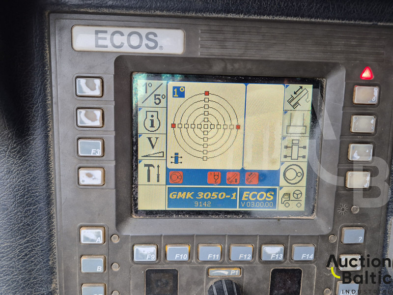 Γερανός παπαγάλος Grove GMK 3050: φωτογραφία 13 Γερανός παπαγάλος Grove GMK 3050: φωτογραφία 13