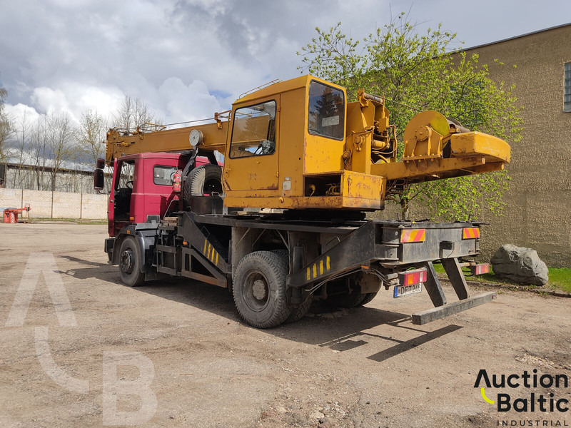 Maz 533731 - Γερανός παπαγάλος: φωτογραφία 4 Maz 533731 - Γερανός παπαγάλος: φωτογραφία 4