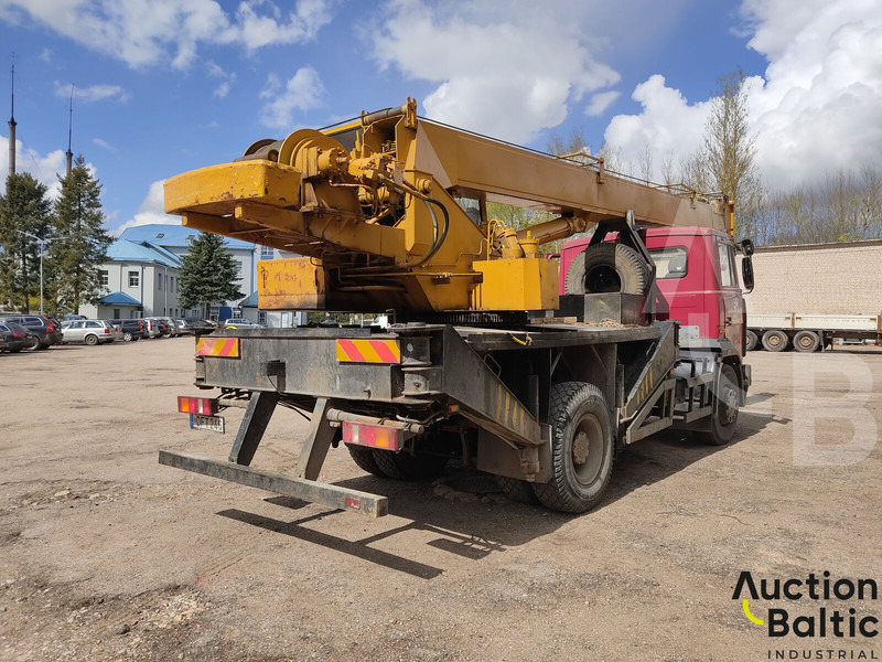 Maz 533731 - Γερανός παπαγάλος: φωτογραφία 5 Maz 533731 - Γερανός παπαγάλος: φωτογραφία 5