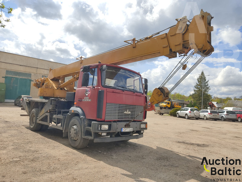 Maz 533731 - Γερανός παπαγάλος: φωτογραφία 2 Maz 533731 - Γερανός παπαγάλος: φωτογραφία 2