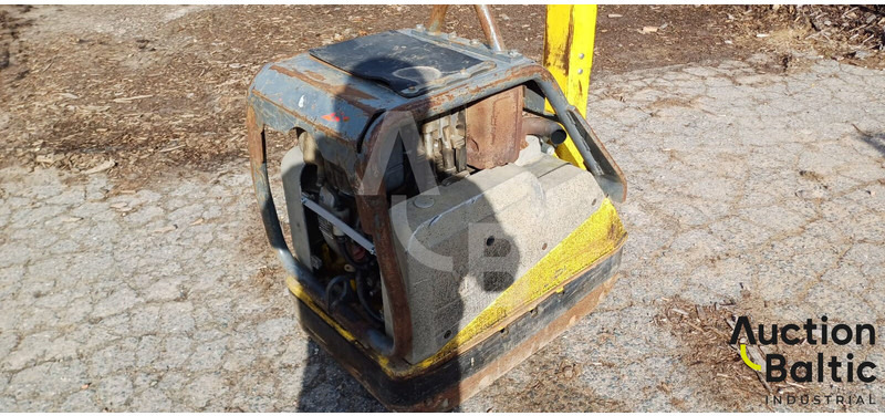 WACKER NEUSON DPU6055 - Δονητική πλάκα: φωτογραφία 3 WACKER NEUSON DPU6055 - Δονητική πλάκα: φωτογραφία 3