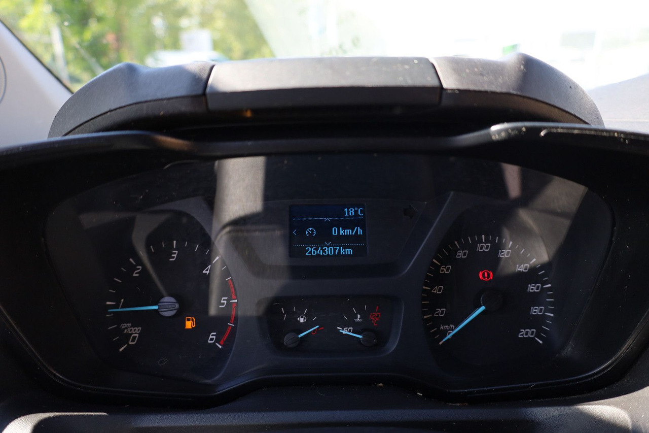 Μικρό βαν Ford Transit Custom Kasten FCC/Werkstatt/Flügeltüren: φωτογραφία 12