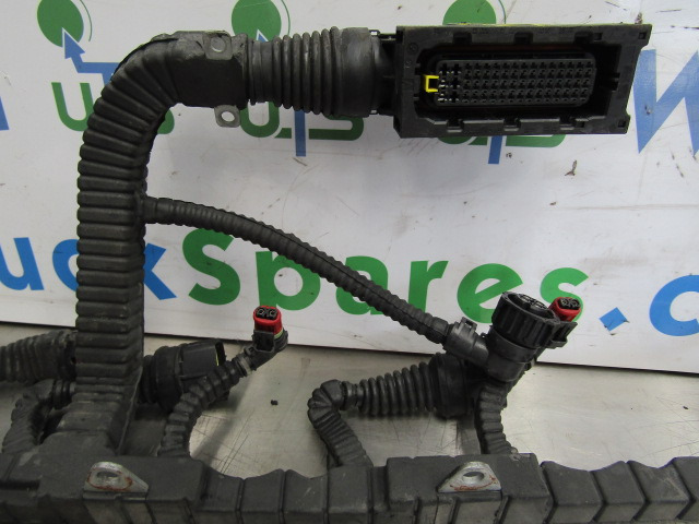 DAF XF 105 PACCAR INJECTOR/ECU HARNESS P/NO 1696501/00 - Ηλεκτρικό σύστημα για Φορτηγό: φωτογραφία 2 DAF XF 105 PACCAR INJECTOR/ECU HARNESS P/NO 1696501/00 - Ηλεκτρικό σύστημα για Φορτηγό: φωτογραφία 2