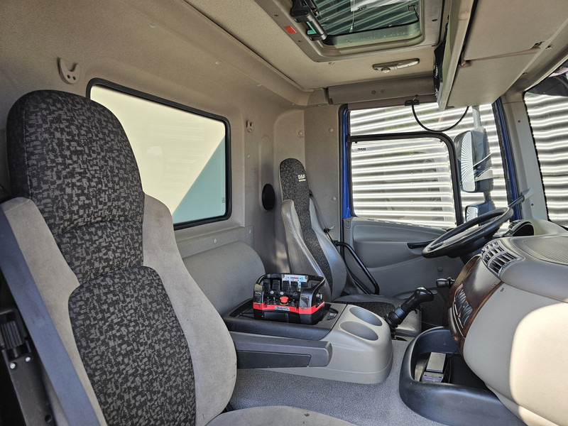 Φορτηγό με γερανό DAF CF85.460 / 6x2 / PALFINGER 29TM / CRANE / KRAN: φωτογραφία 11
