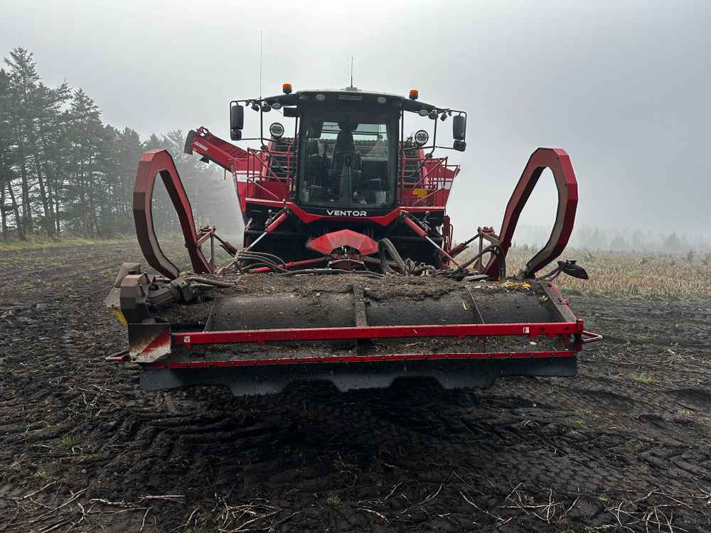 Grimme VENTOR 4150 ClodSep - Μηχανή συγκομιδής: φωτογραφία 2 Grimme VENTOR 4150 ClodSep - Μηχανή συγκομιδής: φωτογραφία 2