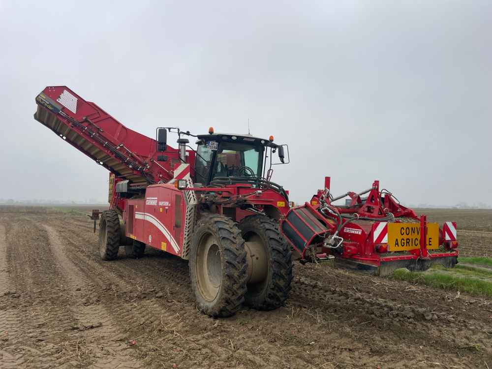 Grimme VARITRON 270 RS VARIO MULTISEP - Μηχανή συγκομιδής: φωτογραφία 3 Grimme VARITRON 270 RS VARIO MULTISEP - Μηχανή συγκομιδής: φωτογραφία 3