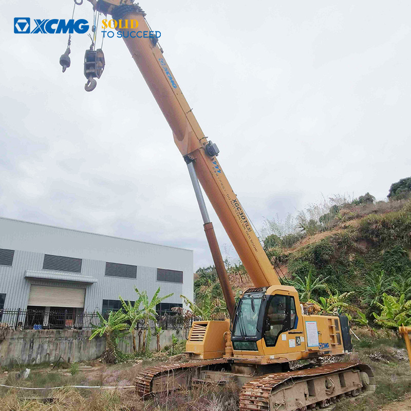 XCMG XGC30T 30ton mini small crawler crane 2016 for sale - Ερπυστριοφόρος γερανός: φωτογραφία 1 XCMG XGC30T 30ton mini small crawler crane 2016 for sale - Ερπυστριοφόρος γερανός: φωτογραφία 1