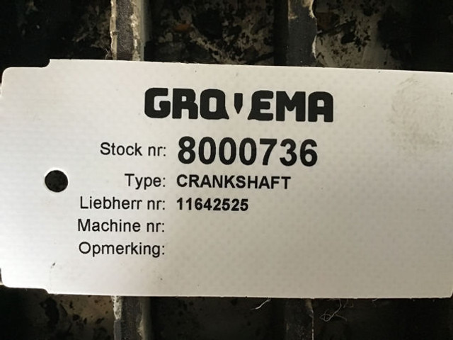 Liebherr Crankshaft - Στροφαλοφόρος: φωτογραφία 4 Liebherr Crankshaft - Στροφαλοφόρος: φωτογραφία 4